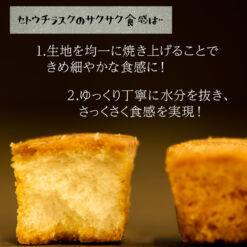 デビルラスク特徴