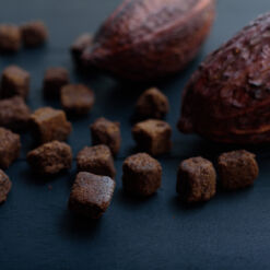 チョコラスクとカカオの果実 撮影