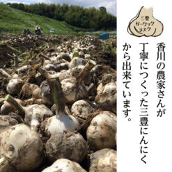 三豊ガーリック 香川の農家さんが丁寧につくった三豊にんにくから出来ています