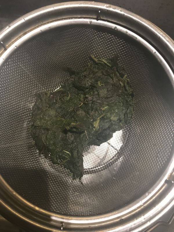 搾ったあとのしその葉